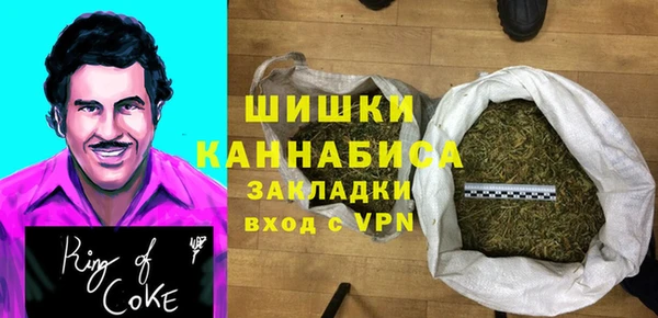 ПСИЛОЦИБИНОВЫЕ ГРИБЫ Арсеньев