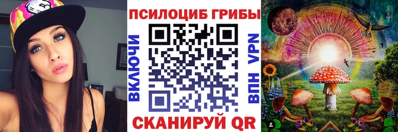 Галлюциногенные грибы Psilocybine cubensis  Подольск 